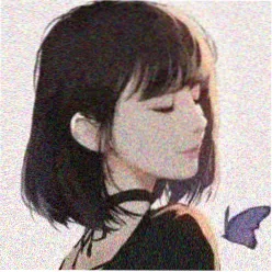 用户